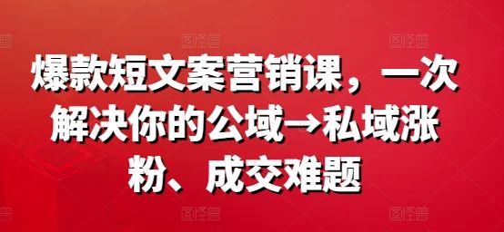 爆款短文案营销课，一次解决你的公域→私域涨粉、成交难题-87副业网