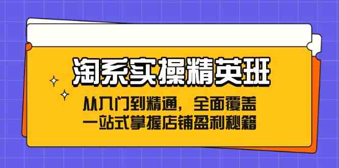 淘系实操精英班：从入门到精通，全面覆盖，一站式掌握店铺盈利秘籍-87副业网