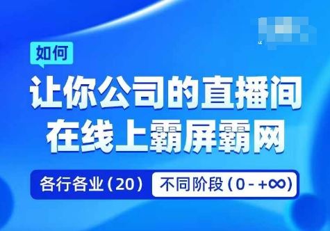 企业矩阵直播霸屏实操课，让你公司的直播间在线上霸屏霸网-87副业网