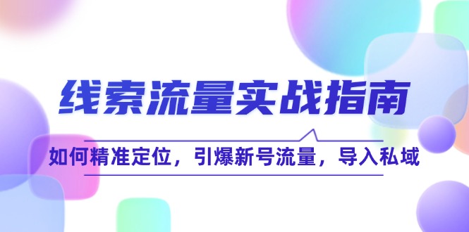 （12382期）线 索 流 量-实战指南：如何精准定位，引爆新号流量，导入私域-87副业网