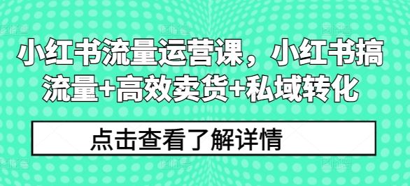 小红书流量运营课，小红书搞流量+高效卖货+私域转化-87副业网