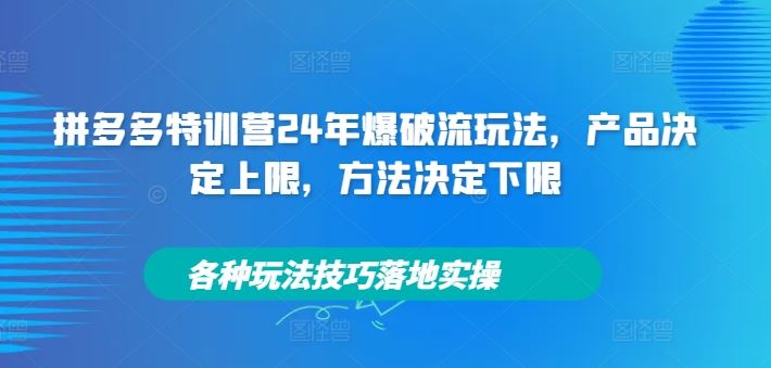 拼多多特训营24年爆破流玩法，产品决定上限，方法决定下限，各种玩法技巧落地实操-87副业网