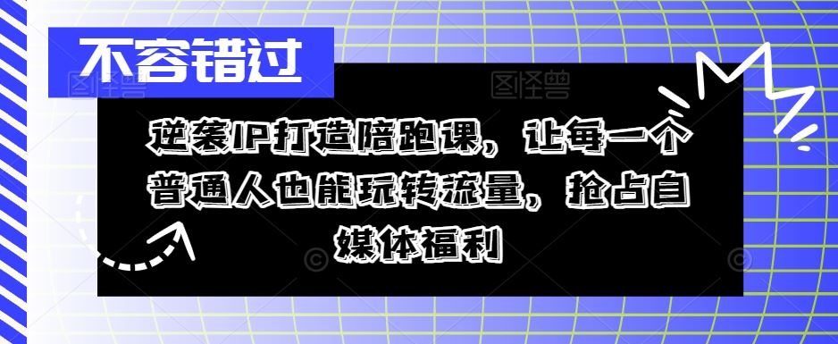 逆袭IP打造陪跑课，让每一个普通人也能玩转流量，抢占自媒体福利-87副业网