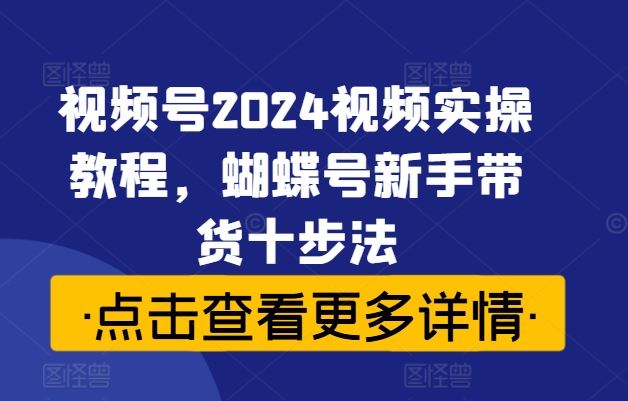 视频号2024视频实操教程，蝴蝶号新手带货十步法-87副业网