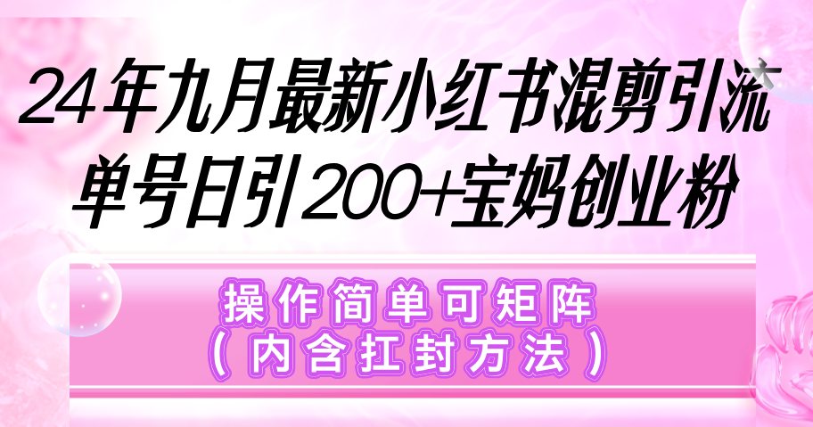 （12530期）小红书混剪引流，单号日引200+宝妈创业粉，操作简单可矩阵（内含扛封…-87副业网