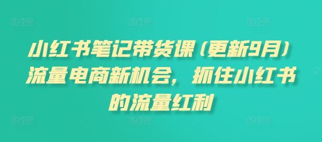 小红书笔记带货课(更新9月)流量电商新机会，抓住小红书的流量红利-87副业网