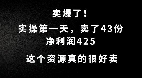 这个资源，需求很大，实操第一天卖了43份，净利润425【揭秘】-87副业网