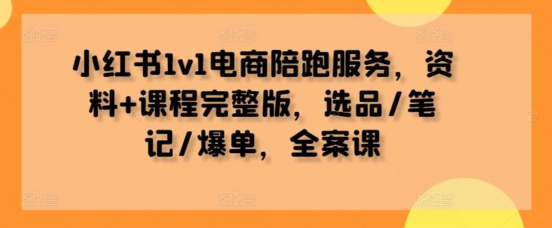 小红书1v1电商陪跑服务，资料+课程完整版，选品/笔记/爆单，全案课-87副业网