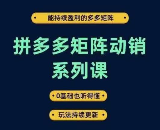 拼多多矩阵动销系列课，能持续盈利的多多矩阵，0基础也听得懂，玩法持续更新-87副业网