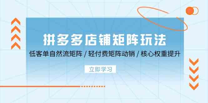 拼多多店铺矩阵玩法：低客单自然流矩阵 / 轻付费矩阵 动销 / 核心权重提升-87副业网