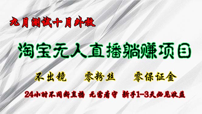 （12862期）淘宝无人直播最新玩法，九月测试十月外放，不出镜零粉丝零保证金，24小…-87副业网