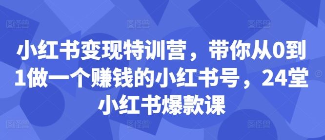 小红书变现特训营，带你从0到1做一个赚钱的小红书号，24堂小红书爆款课-87副业网