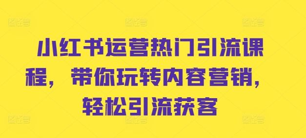 小红书运营热门引流课程，带你玩转内容营销，轻松引流获客-87副业网