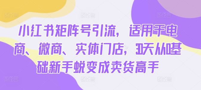 小红书矩阵号引流，适用于电商、微商、实体门店，30天从0基础新手蜕变成卖货高手-87副业网