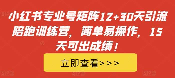 小红书专业号矩阵12+30天引流陪跑训练营，简单易操作，15天可出成绩!-87副业网