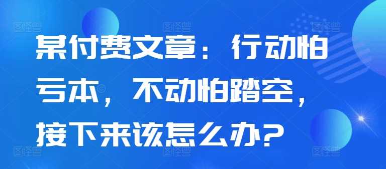 某付费文章：行动怕亏本，不动怕踏空，接下来该怎么办?-87副业网