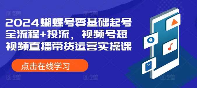 2024蝴蝶号零基础起号全流程+投流，视频号短视频直播带货运营实操课-87副业网