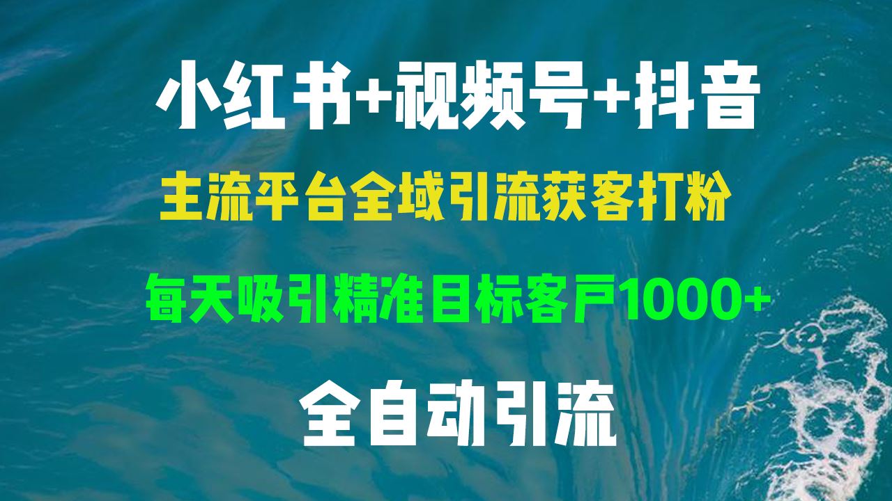 （13104期）小红书，视频号，抖音主流平台全域引流获客打粉，每天吸引精准目标客户…-87副业网