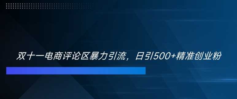 双十一电商评论区暴力引流，日引500+精准创业粉【揭秘】-87副业网