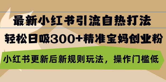 （13145期）最新小红书引流自热打法，轻松日吸300+精准宝妈创业粉，小红书更新后新…-87副业网