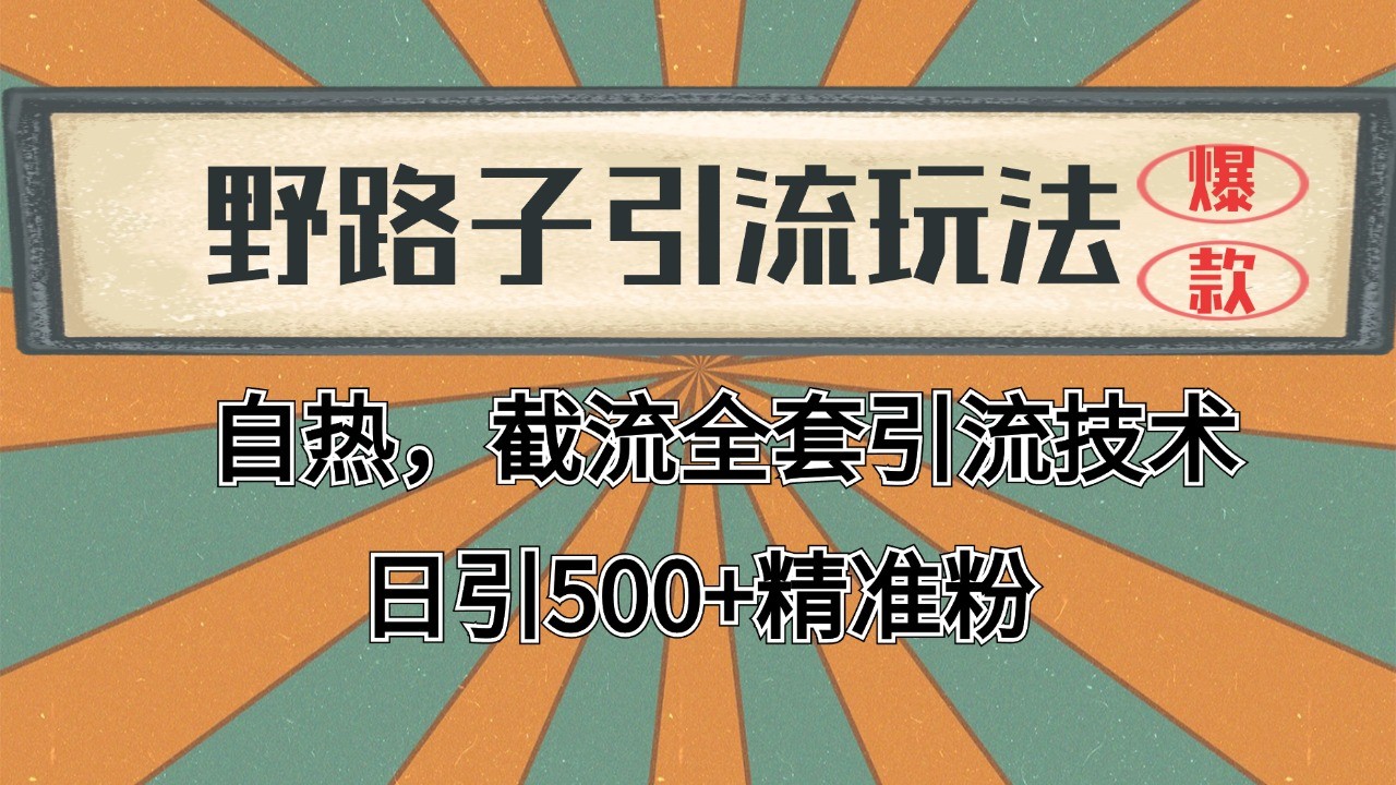 抖音小红书视频号全平台引流打法，全自动引流日引2000+精准客户-87副业网