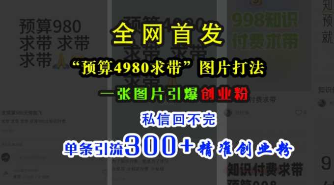 小红书“预算4980带我飞”图片打法，一张图片引爆创业粉，私信回不完，单条引流300+精准创业粉-87副业网