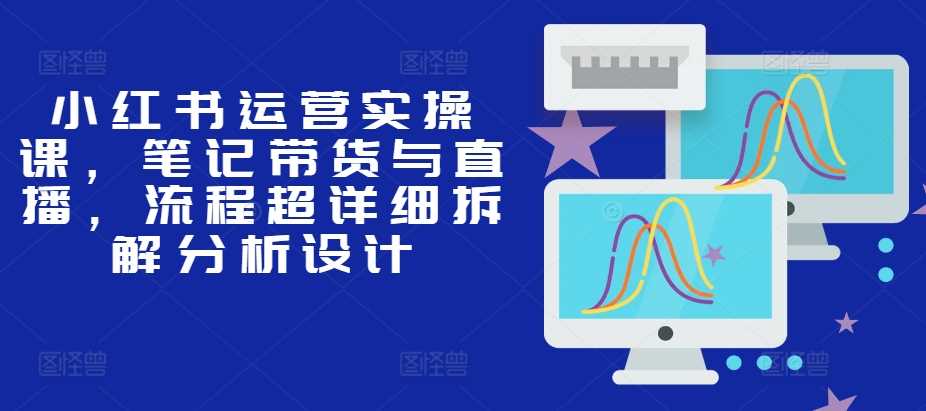 小红书运营实操课，笔记带货与直播，流程超详细拆解分析设计-87副业网