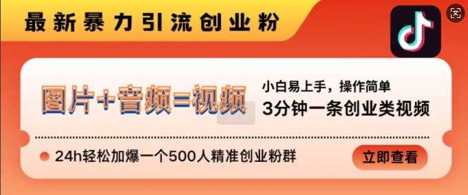 抖音最新暴力引流创业粉，3分钟一条创业类视频，24h轻松加爆一个500人精准创业粉群【揭秘】-87副业网