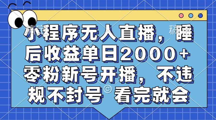 （13251期）小程序无人直播，睡后收益单日2000+ 零粉新号开播，不违规不封号 看完就会-87副业网