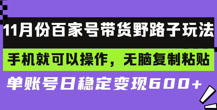 （13281期）百家号带货野路子玩法 手机就可以操作，无脑复制粘贴 单账号日稳定变现…-87副业网