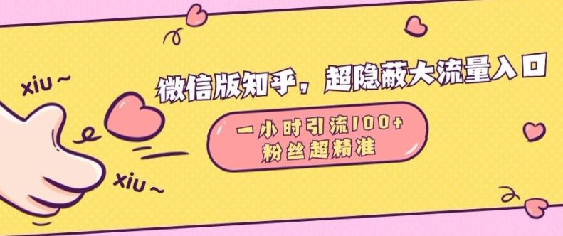 微信版知乎，超隐蔽流量入口1小时引流100人，粉丝质量超高【揭秘】-87副业网