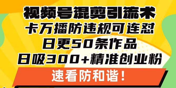 （13400期）视频号混剪引流技术，500万播放引流17000创业粉，操作简单当天学会-87副业网