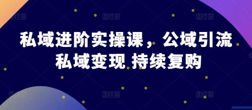 私域进阶实操课，公域引流 私域变现 持续复购-87副业网