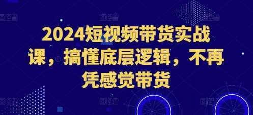 2024短视频带货实战课，搞懂底层逻辑，不再凭感觉带货-87副业网