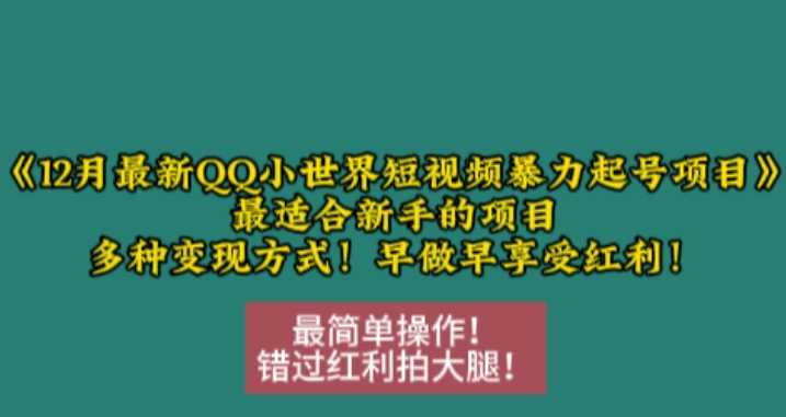 12月最新QQ小世界短视频暴力起号项目，最适合新手的项目，多种变现方式-87副业网