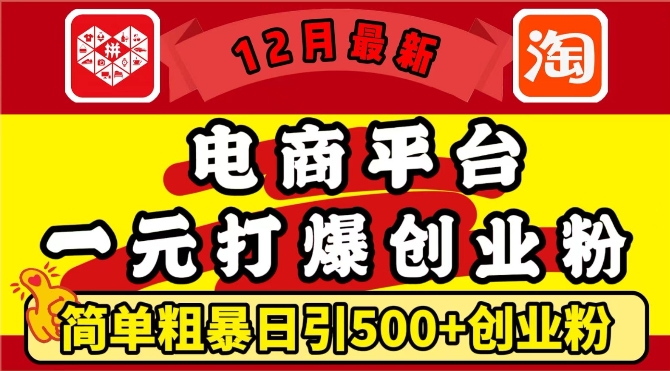 12月最新：电商平台1元打爆创业粉，简单粗暴日引500+精准创业粉，轻松月入过W【揭秘】-87副业网