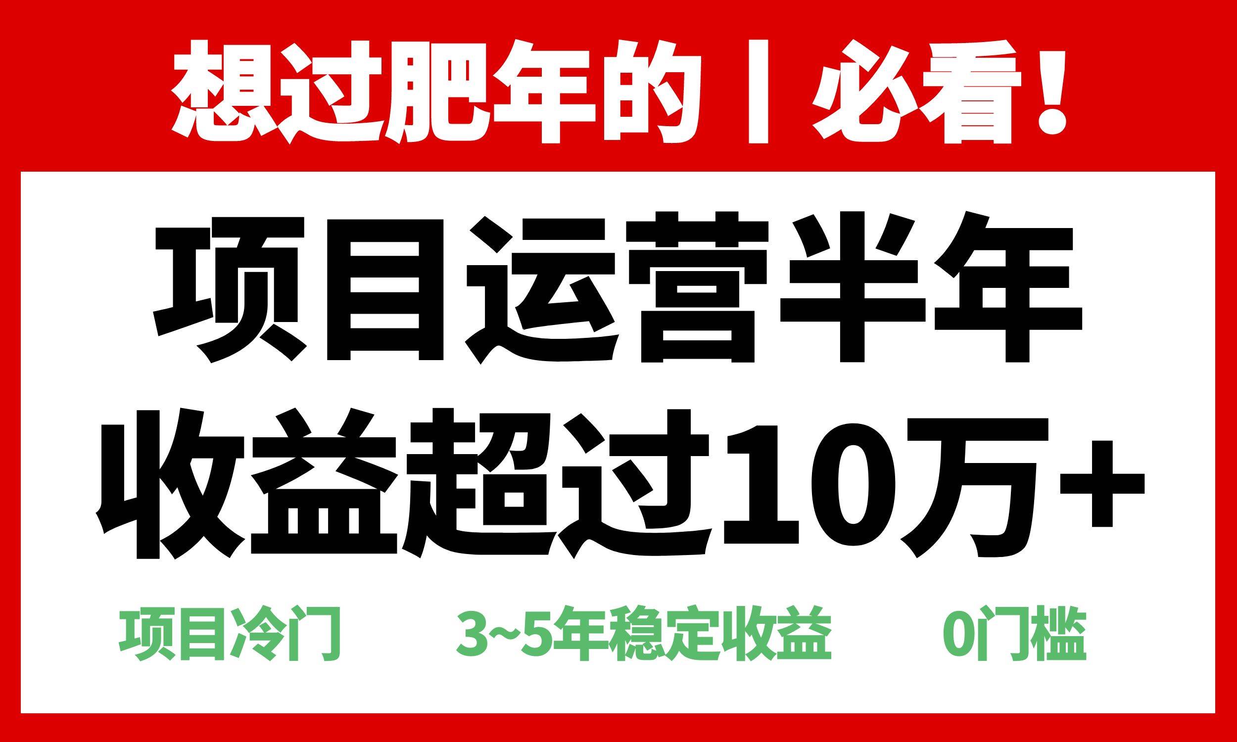 （13663期）年前过肥年的必看的超冷门项目，半年收益超过10万+，-87副业网