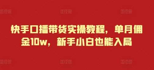 快手口播带货实操教程，单月佣金10w，新手小白也能入局-87副业网