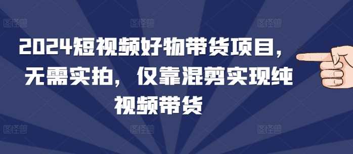 2024短视频好物带货项目，无需实拍，仅靠混剪实现纯视频带货-87副业网