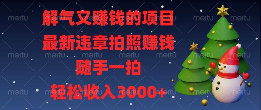 （13804期）解气又赚钱的项目，最新违章拍照赚钱，随手一拍，轻松收入3000+-87副业网