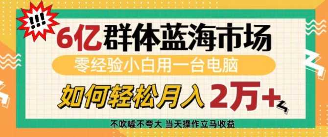 6亿群体蓝海市场，零经验小白用一台电脑，如何轻松月入过w【揭秘】-87副业网