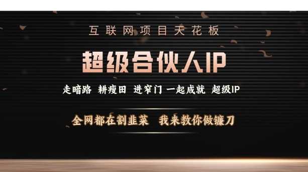 互联网项目天花板，超级合伙人IP，全网都在割韭菜，我来教你做镰刀【仅揭秘】-87副业网