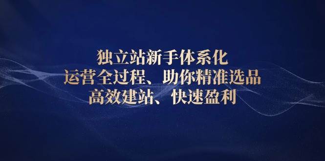 （13914期）独立站新手体系化 运营全过程，助你精准选品、高效建站、快速盈利-87副业网