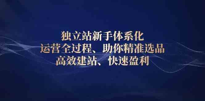 独立站新手体系化 运营全过程，助你精准选品、高效建站、快速盈利-87副业网