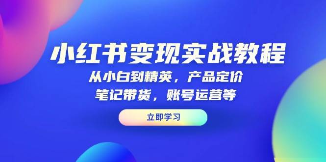 小红书变现实战教程：从小白到精英，产品定价，笔记带货，账号运营等-87副业网