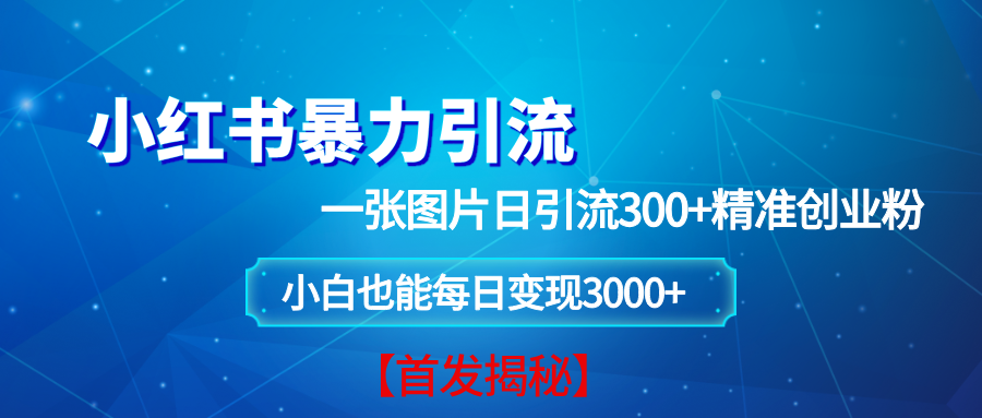 （13935期）小红书暴力引流法，一张图片日引 300+精准创业粉，每日稳定变现 3000+【揭秘】-87副业网