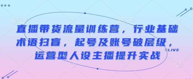 直播带货流量训练营，行业基础术语扫盲，起号及账号破层级，运营型人设主播提升实战-87副业网