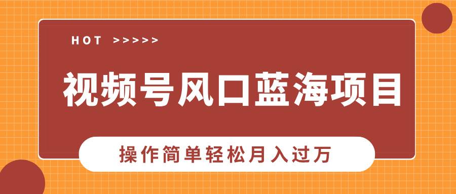 （13945期）视频号风口蓝海项目，中老年人的流量密码，操作简单轻松月入过万-87副业网