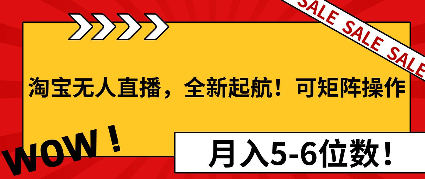 （13946期）淘宝无人直播，全新起航！可矩阵操作，月入5-6位数！-87副业网