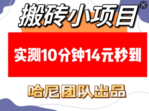 搬砖小项目，实测10分钟14元秒到，每天稳定几张(赠送必看稳定)-87副业网